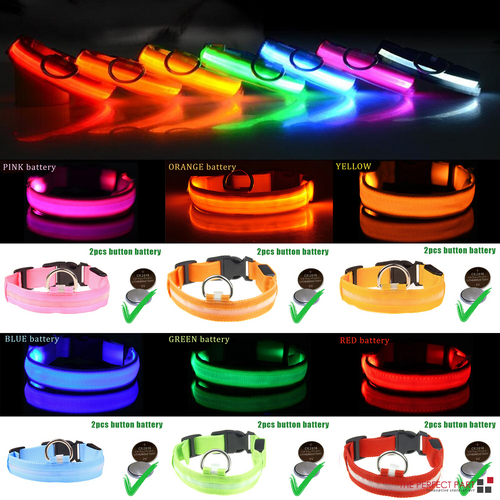 LED Adjustable Dog Collars. Light the Night. Protect Your Pet.