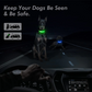 LED Adjustable Dog Collars. Light the Night. Protect Your Pet.