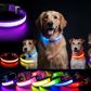 LED Adjustable Dog Collars. Light the Night. Protect Your Pet.