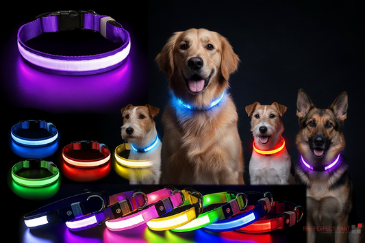 LED Adjustable Dog Collars. Light the Night. Protect Your Pet.