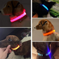 LED Adjustable Dog Collars. Light the Night. Protect Your Pet.