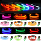 LED Adjustable Dog Collars. Light the Night. Protect Your Pet.
