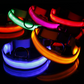 LED Adjustable Dog Collars. Light the Night. Protect Your Pet.