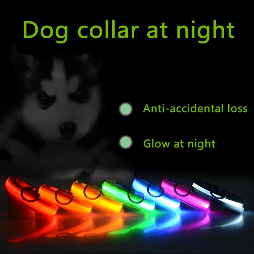 LED Adjustable Dog Collars. Light the Night. Protect Your Pet.