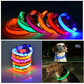 LED Adjustable Dog Collars. Light the Night. Protect Your Pet.