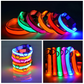 LED Adjustable Dog Collars. Light the Night. Protect Your Pet.