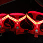 LED DOG HARNESS