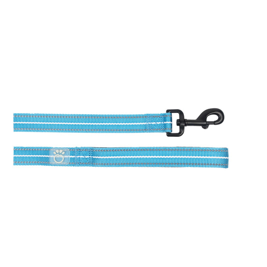 REFLECTIVE LEASH - BLUE