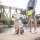 REFLECTIVE LEASH - BLUE