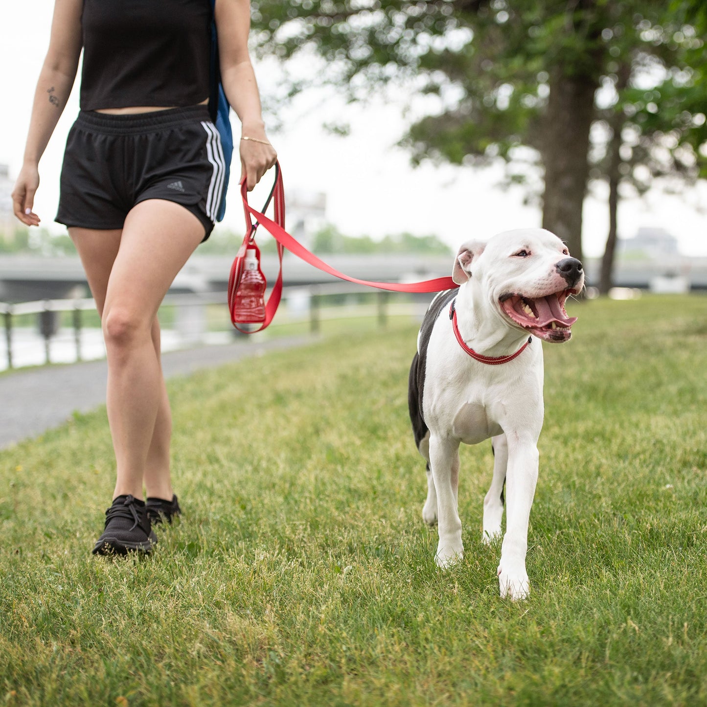 REFLECTIVE LEASH - RED